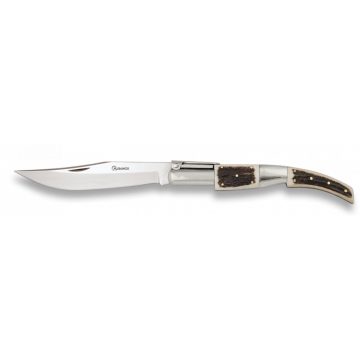   Pocket knife. ARABE Nº00. Deer. Blade 7 - zsebkés, bicska, 6.8 cm, ALBAINOX